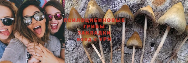 таблы Алзамай
