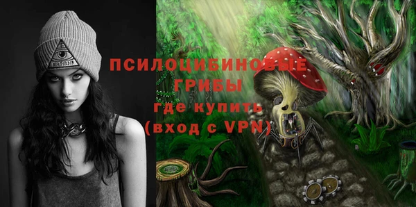 ALPHA-PVP Алексеевка