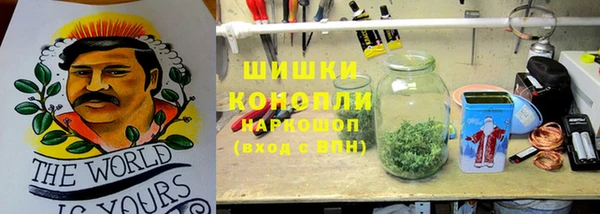 дживик Снежинск